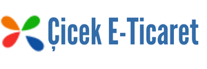  E-TİCARET YAZILIMI